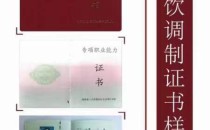 湖南专项能力有哪些工种